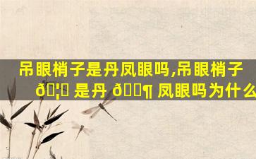 吊眼梢子是丹凤眼吗,吊眼梢子 🦉 是丹 🐶 凤眼吗为什么
